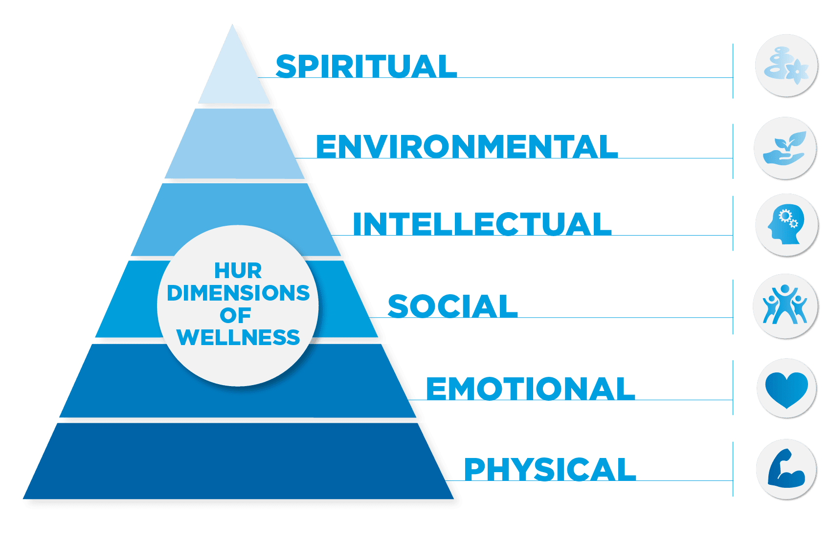 The Six Dimensions Of Wellness | El Paso Texas Chiropractor