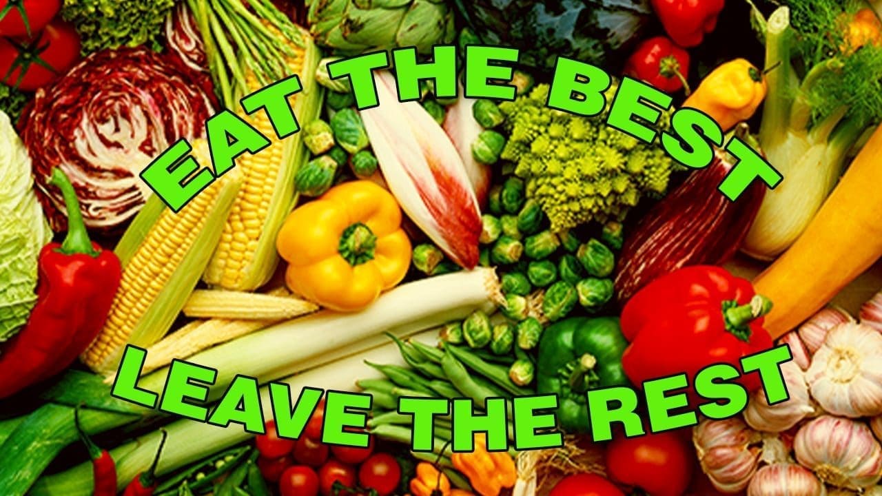 The Best Diet For Pain Relief | El Paso Texas Chiropractor