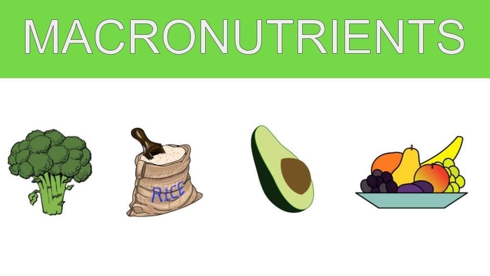 Macronutrients and Health | El Paso TX Chiropractor