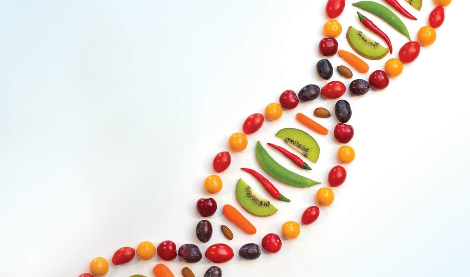 Stubborn Weight: Genetics or Diet? | El Paso Chiropractor