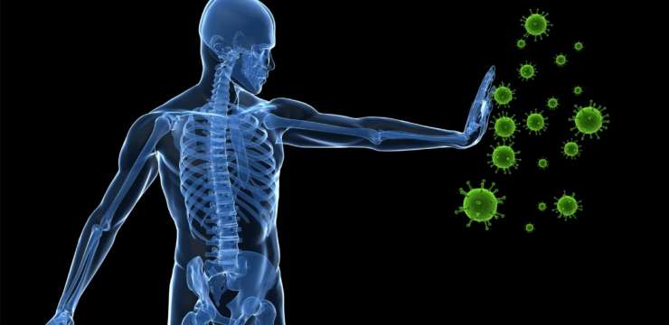 The Factors Of Increased Immunity | El Paso Texas Chiropractor