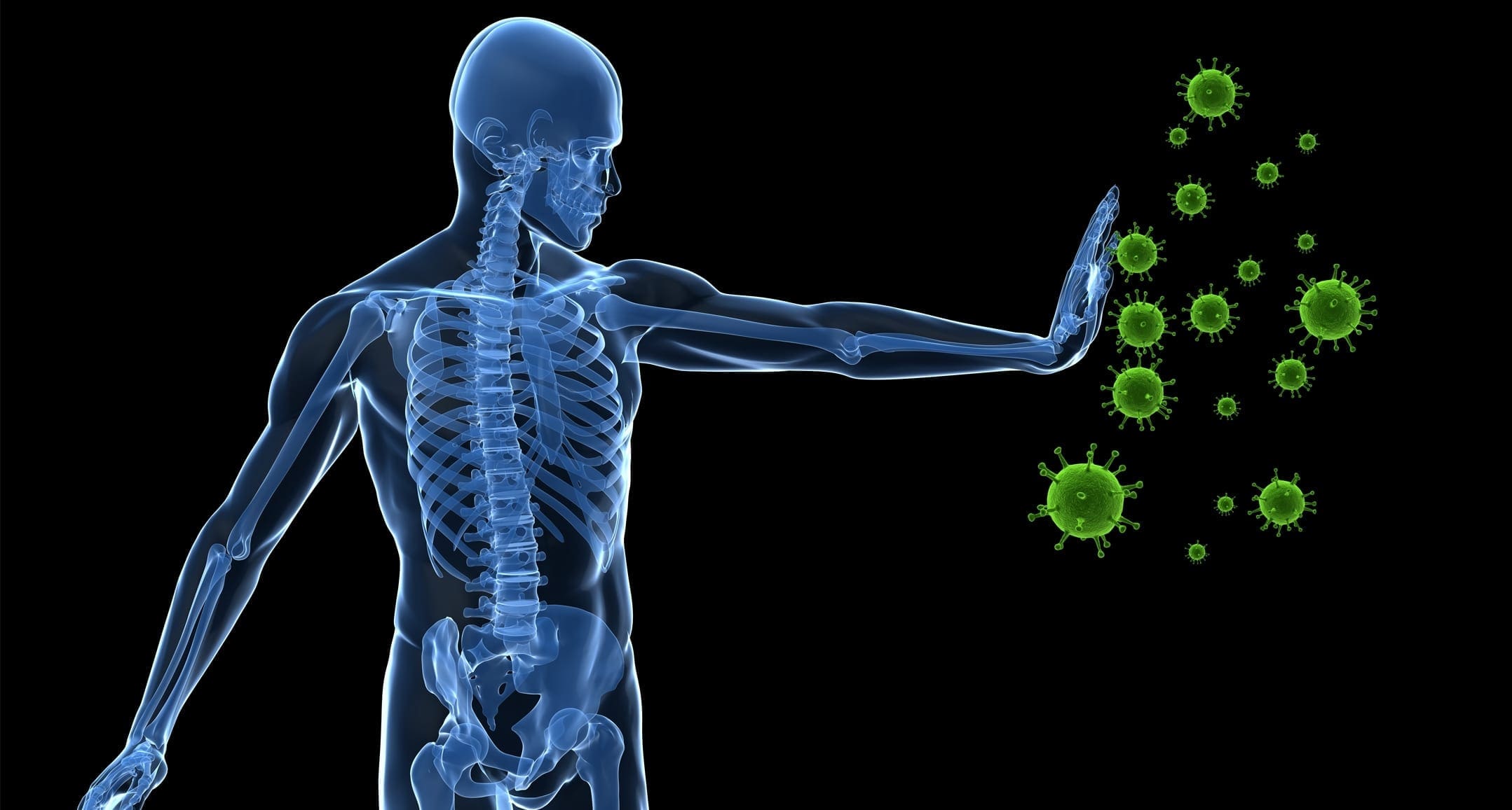 The Factors Of Increased Immunity | El Paso Texas Chiropractor