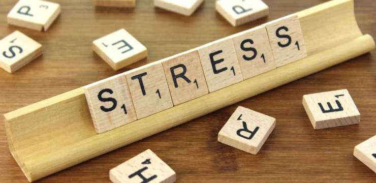 Epigenetics: Stress In Relation To Chronic Disease | El Paso Health