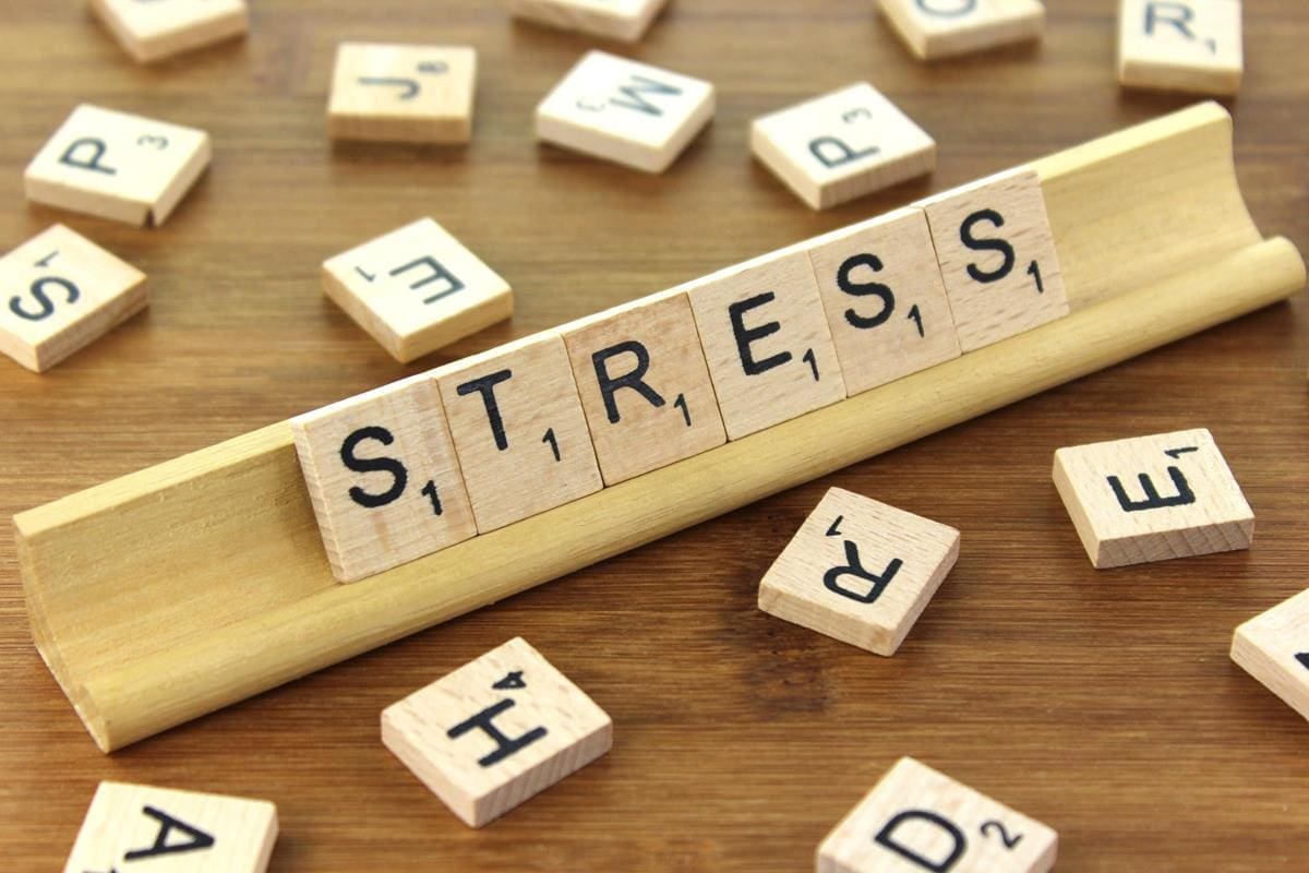 Epigenetics: Stress In Relation To Chronic Disease | El Paso Health