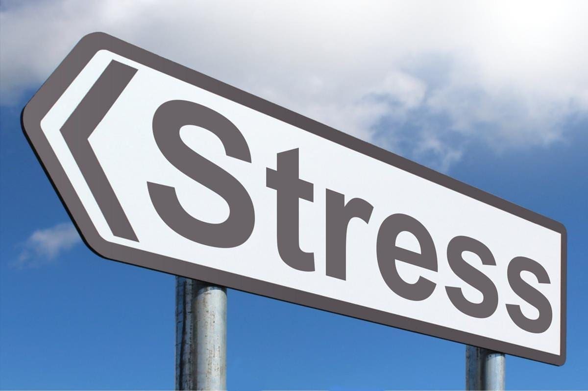 Stress: How Stress Leads To Burnout & Inflammation | El Paso Health Coach