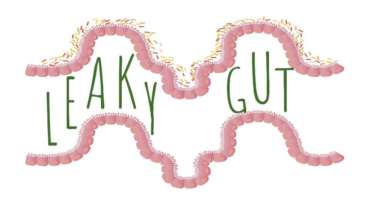 "Leaky Gut" - What Does It Really Mean? - El Paso, TX Health Coach Clinic