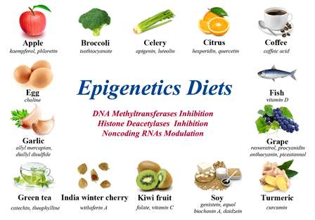 Image of the epigenetic diet.