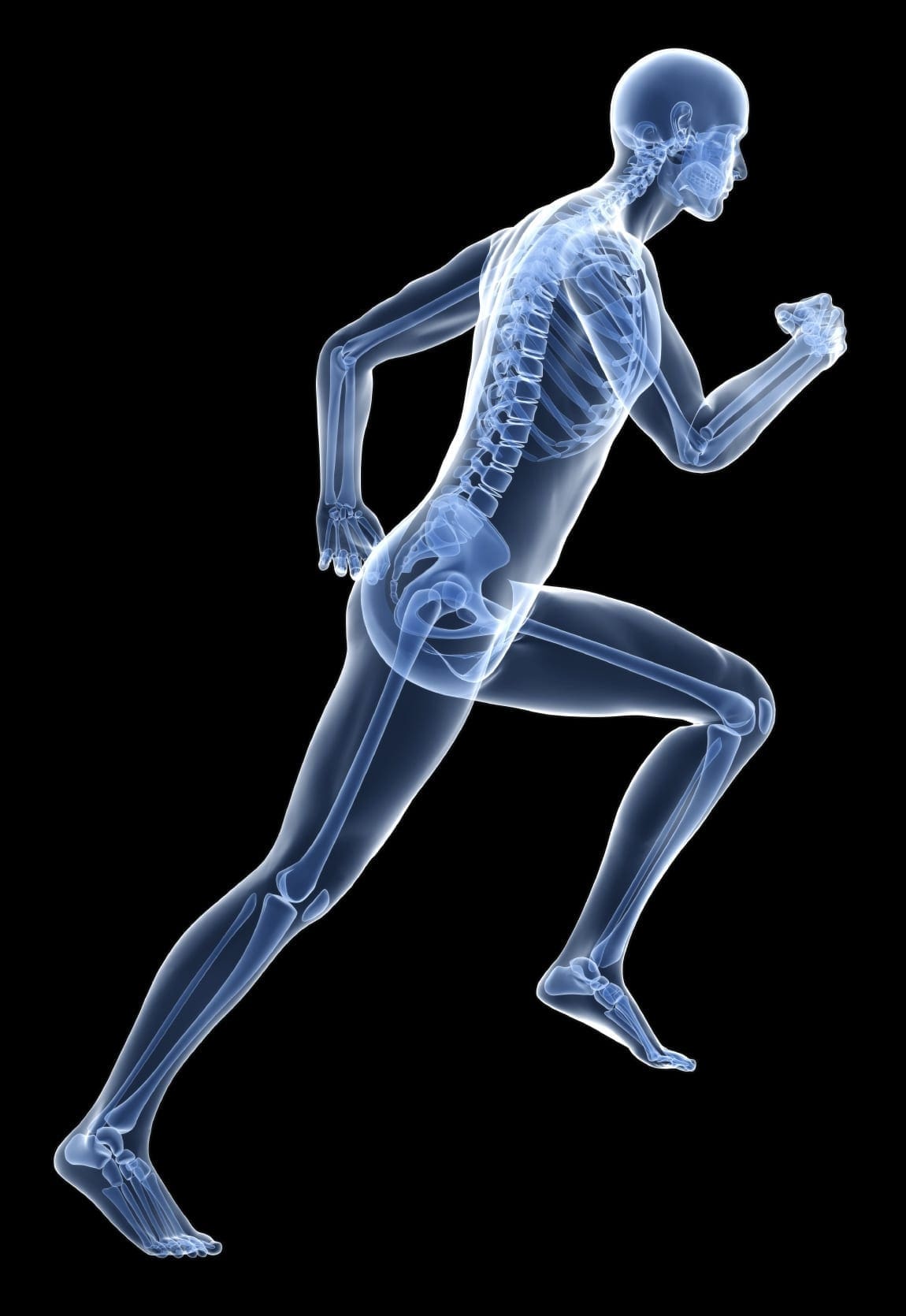 Health and Wellness: Bone Health | El Paso Texas Chiropractor and Health Coach