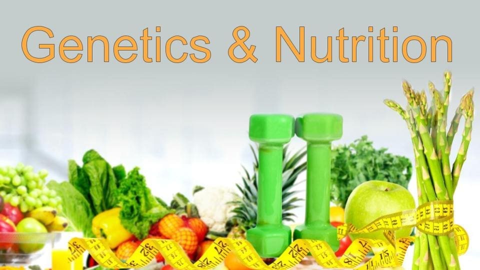 Genetics and Nutrition | El Paso Health Chiropractor Coach