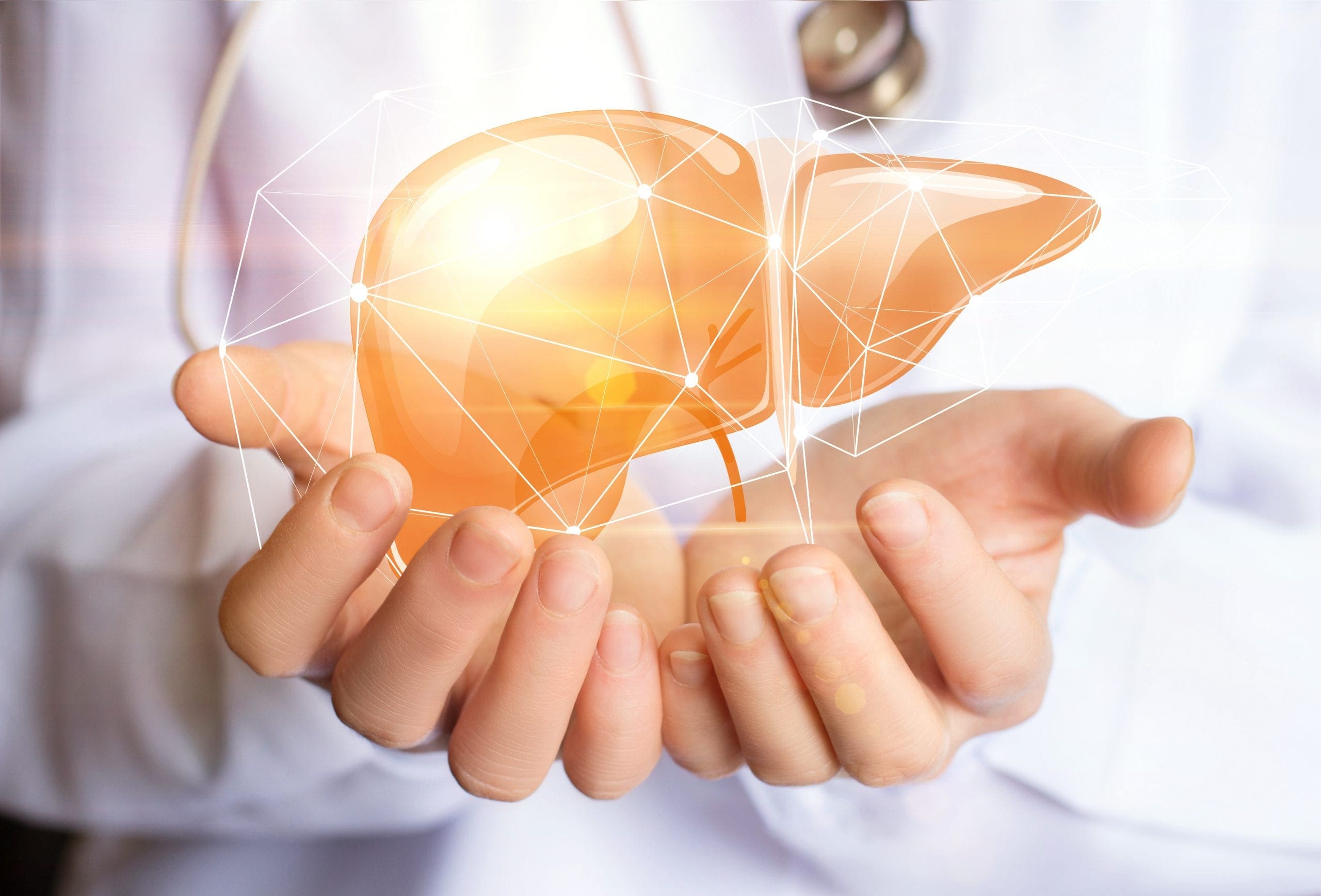 What are the Phases of Liver Detoxification? | El Paso, TX Chiropractor