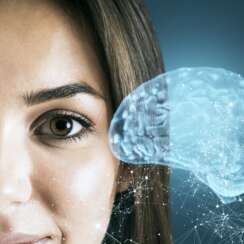 Brain Health and Everyday Wellness With Functional Wellness