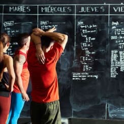 Weekly Workout Routine Optimization and Planning Guide