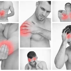 Regeneration Process for Recovery & Musculoskeletal Health